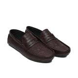 Elegant Brown Loafer LS19