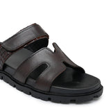 Brown Fancy Slipper SA161